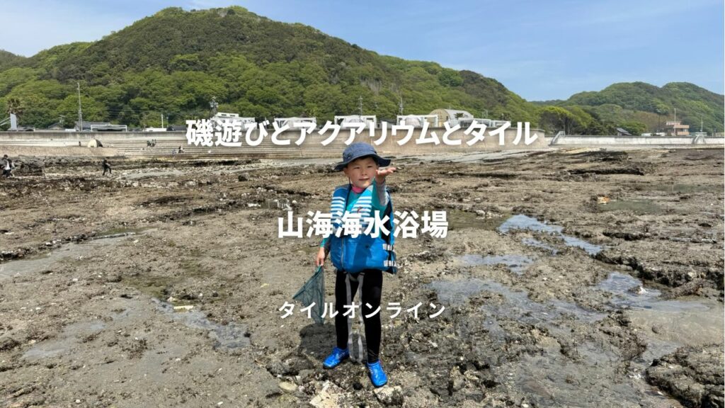 磯遊びとアクアリウムとタイル