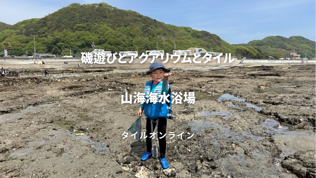 磯遊びとアクアリウムとタイル